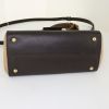Borsa da spalla o a mano Fendi Silvana in pelle marrone scuro e beige - Detail D5 thumbnail